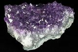 Dark Purple Amethyst Cluster - Uruguay #77002-1